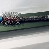 爬虫類・FUKUSHIMA 爬虫類・FUKUSHIMA