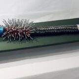 爬虫類・FUKUSHIMA 爬虫類・FUKUSHIMA