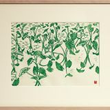 田芋の畑 田芋の畑