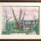 貞麟寺の桜 貞麟寺の桜