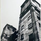 根岸競馬場 根岸競馬場