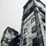 根岸競馬場 根岸競馬場