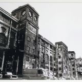 根岸競馬場 根岸競馬場