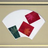 京の紅葉 京の紅葉