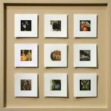 ６×６×９　(Ⅳ）