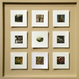 ６×６×９　(Ⅲ）