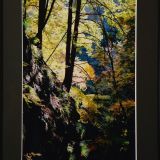 渓谷に日が射した