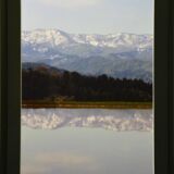 頸城山塊を映す棚田