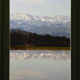 頸城山塊を映す棚田