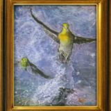 アオバト アオバト