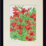 庭のつつじ 庭のつつじ