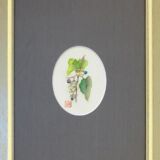 野葡萄 B 野葡萄 B