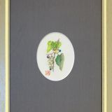 野葡萄 B 野葡萄 B