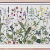 ＥＮＧＥＮＳ ＢＬＯＭＳＴＥＲ