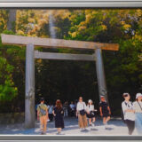 伊勢神宮の木漏れ日