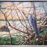 サイチョウ鳥の朝