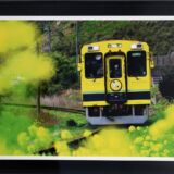 菜の花や　ムーミン列車　ラストラン
